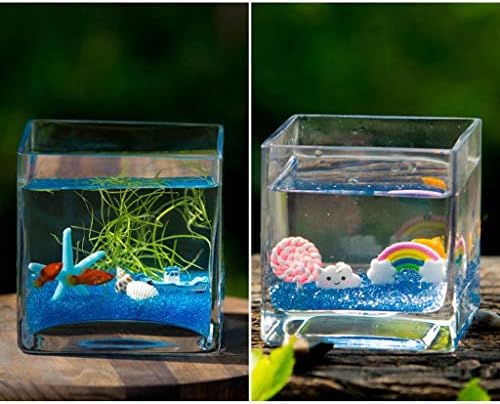 Hanxiaoyishop קערת דגים אישיות יצירתית מרובעת מיכל דגים זכוכית אקווריום ביתי בסלון שולחן עבודה