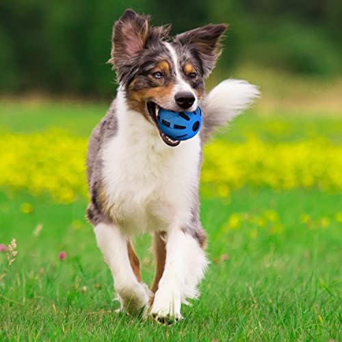 משבר כלבים נרף וצעצוע כלבים של כדור גומי חריקים, יחיד, בינוני/גדול, כחול
