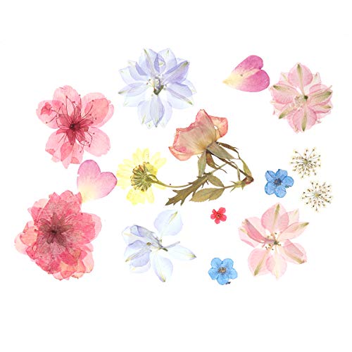 מדבקות פרחים יבשים של לורוז אפליקציה דקורטיבית מדבקות פרחים טבעיות מדבקות פרחים ידידותיים לסביבה