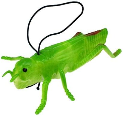 צעצועים 10 יחידים חגבים פלסטיים דמויות חרקים צעצועים מזויפים באגים ירוקים לילדי מסיבות נושאי חרקים