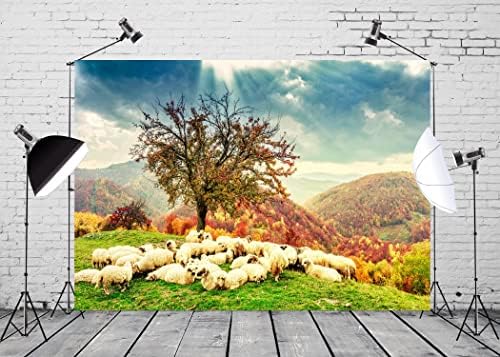בלקו 9 * 6 רגל בד תנך סצנה כבשים רקע רומנית הקרפטים הר סתיו נוף כבשים תחת עץ קדוש אור נוצרי צילום