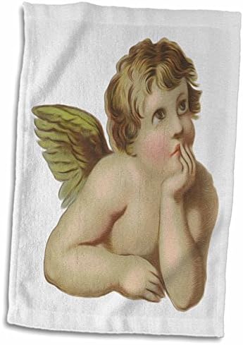 תלת מימד רוז וינטג 'ויקטוריאני חשיבה מלאך שרוב שרוב/מגבת ספורט, 15 x 22