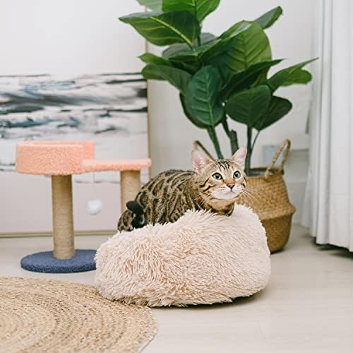 פטו יקר - עמדת מוטות מנופפת, עץ חתול עם מיטת חתול, דירת חתולים, שני עמודי גירוד של חבל סיסל, וצעצוע תלוי