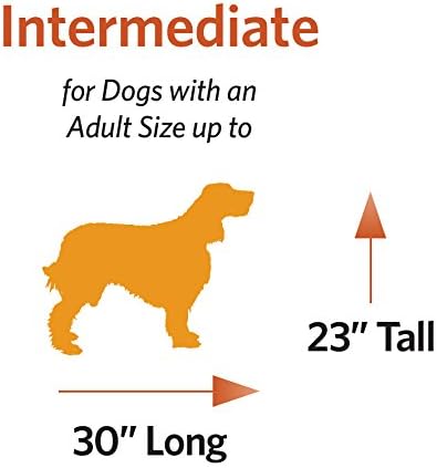 בתי המערב התיכון עבור חיות מחמד מחיאות כפיים דלת אחת כלב ארגז, 36 אינץ