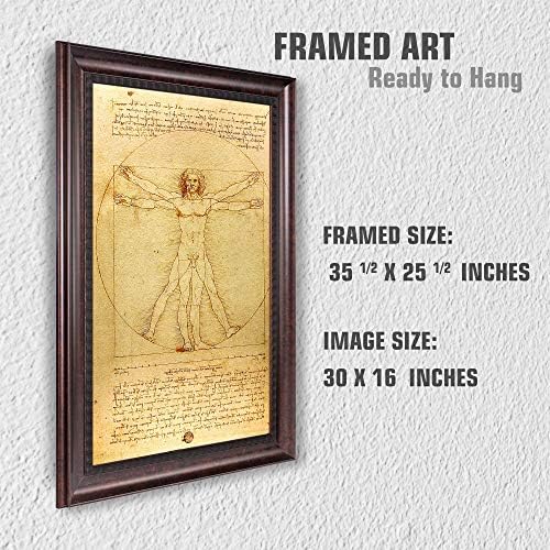 יצירת אמנות האיש הוויטרובי מאת לאונרדו דה וינצ 'י, גודל ממוסגר: 35.5 על 25.5 אינץ', גודל תמונה: 30