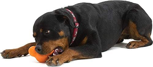 מערב פאו בשר בקר לב מיובש בהקפאה כלב גלם פינוקים זוגופלקס טוקס לטפל מחלק כלב ללעוס צעצוע