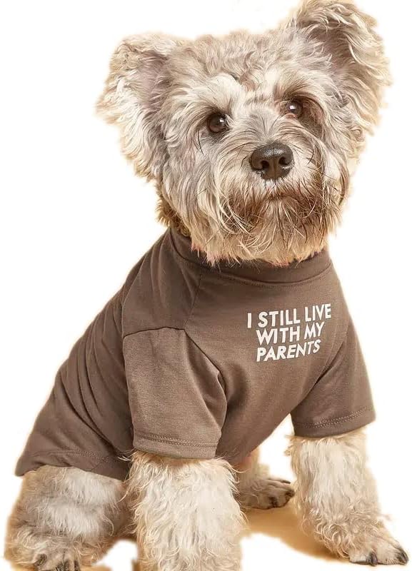 בגדי כלבים חמודים, חולצת טי לכלבים לכלבים בינוניים. בגדי כלבים לכלבים קטנים ילד ילד, גור. תלבושות