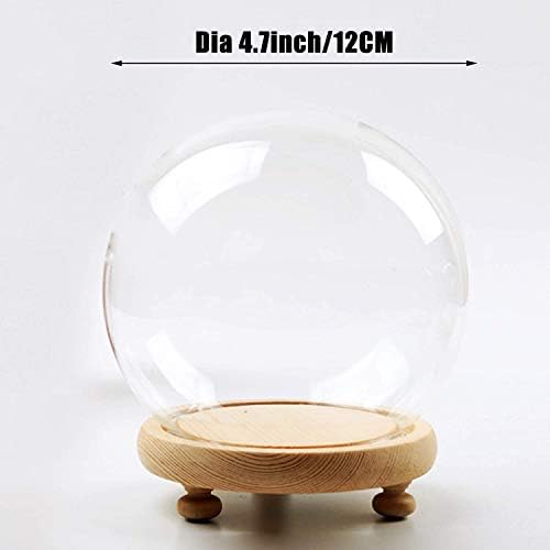 ORQIHIDOOD זכוכית עגולה CLOCHE BALL BALL צנצנת שולחן שולחן