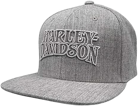הארלי דייווידסון גברים של ראש ברזל סנפבק שטוח שוליים בייסבול כובע-הת ' ר אפור
