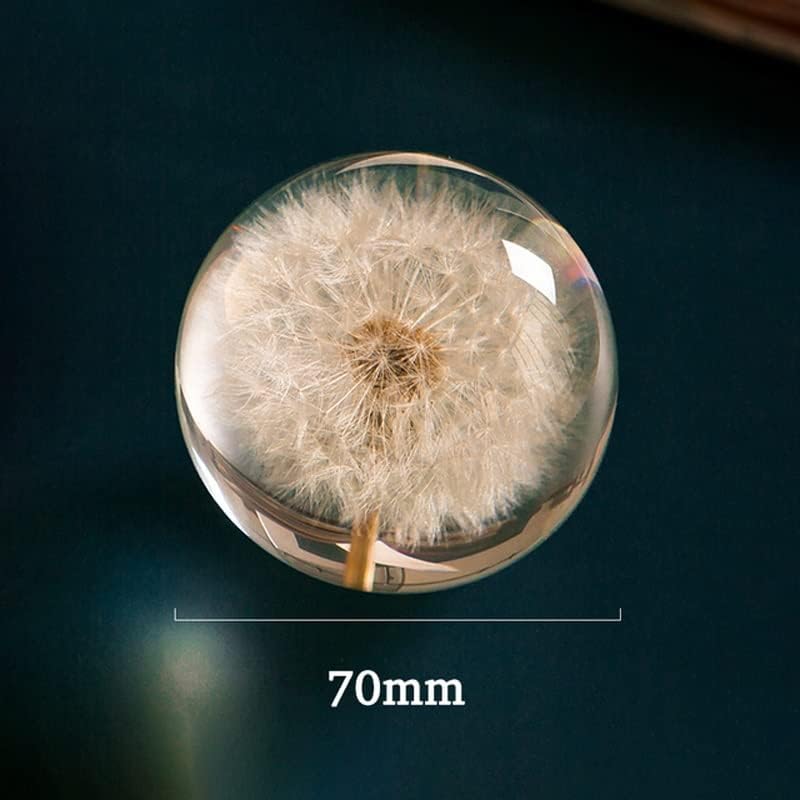 N/A פרח זכוכית גביש שרף עדשות עדשות כדור עם מחזיק תיבת מתנה גלובוס