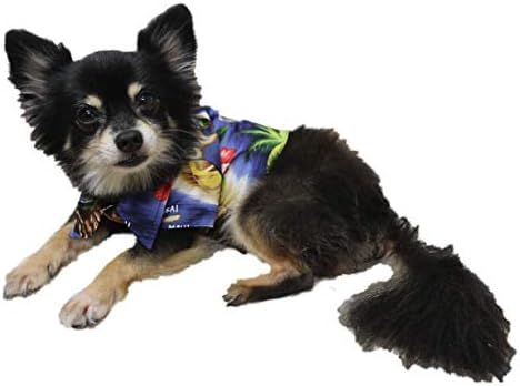 RJC Hibiscus איי הוואי תואם חולצה משפחתית לכלבים
