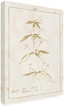 אמנות סימן מסחרי 'פרחים על לבן III עם מילים' אמנות בד מאת תיק תפוחים פראי