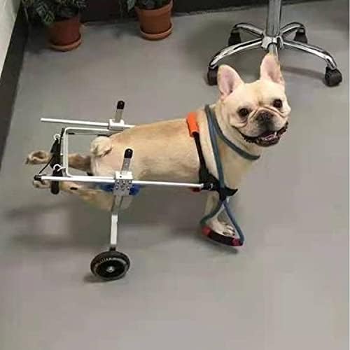 יקנה מתכווננת 2 גלגלים כסא גלגלים לכלבים לרגליים אחוריות, לחיית מחמד בינונית קטנה, לרגליים אחוריות נכות