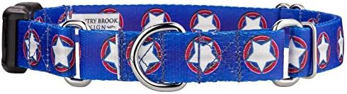 Country Brook Petz - Star Spangled Martingale עם Deluxe Buckle - Collection Americana עם 3 עיצובים פטריוטיים