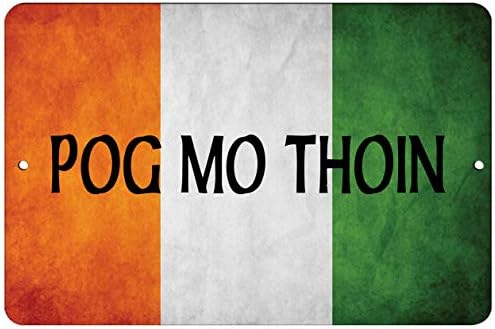 מקורוני-פו מו תוין דגל אירלנד אירי 12-18 אלומיניום דקורטיבי שלט וול סטריט