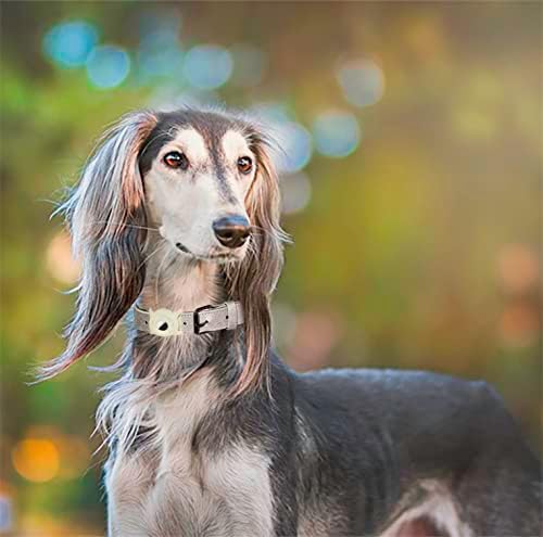 צווארון כלבים כבד נושם עם מחזיק תגי אוויר, צווארון כלבי אוויר מרופד מרופד רך ומרופד עם אבזם מתכת הניתן