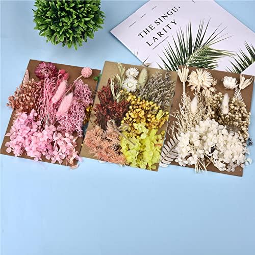 דלארן 42 יח 'מגוון עלים נלחצים מיובשים אמיתיים עלים יבשים טבעיים 3 פרחים מיובשים לעלים מלאכת