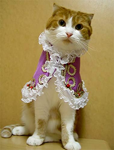 חתול בגדי חנות, חתול פודינג, חתול פודינג, קטן כלב בגדים, קוספליי, בגדים לחיות מחמד, הנצחה צילום, ורסאי