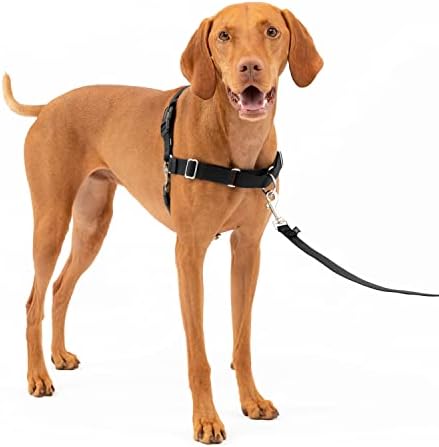 PetSafe קל הליכה ללא רתמת כלבים לא-משיכה-הרתמה האולטימטיבית שתעזור להפסיק למשוך וללמד נימוסי רצועה טובים