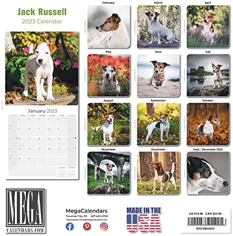 2022 2023 לוח השנה של ג'ק ראסל - גזע כלבים לוח שנה קיר חודשי - 12 x 24 פתוח - נייר עבה ללא דימום