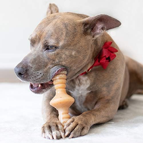 Benebone Zaggler גלגול כלבים צעצוע לעיסה אגרסיבית, בייקון אמיתי, מיוצר בארהב, בינוני