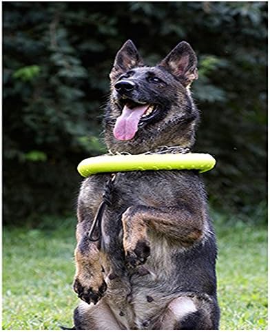 צעצועי כלבים גדולים של Nollary טבעת צפים צפים, דיסקים מעופפים כושר חיצוני, משיכת טבעת אימונים אינטראקטיבית