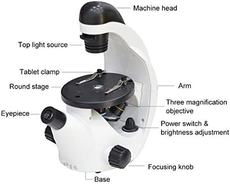 מיקרוסקופ דיגיטלי משקפת משולשת 4 פעמים 10 פעמים 20 פעמים גס 40-320 פעמים התמקדות בית ספר מדע חינוכי