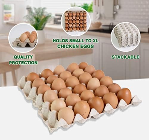מגשי ביצים ריקים של קרוקי-200 ספירה-30 קיבולת ביצים, ניתנות לגיבוב, דירות ביצה חזקות של סיבי עיסת מתכלה, מושלמות