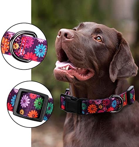 Rhea Rhea Girl Collars כלבים נופלים דפוס חיננית, הדפס פרחים צבעוניים, צווארון נקבה, סגול כהה, בינוני