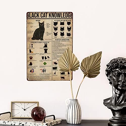 אסתטי של חתול שחור אסתטי שלטי וינטג 'רטרו חתול שלט מתכת עיצוב קיר עיצוב תרשים מצחיק ידע פח פח פופולרי
