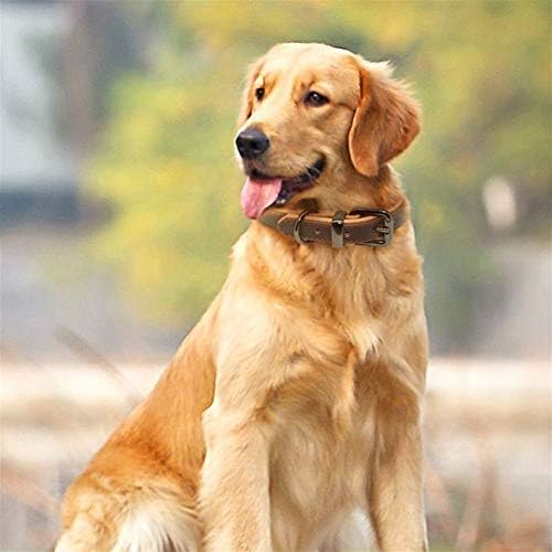 רצועה מרופדת עור חיות מחמד צווארון כלב בינונית קטנה כלב גדול לברדור פיטבול סגסוגת כבד צווארון כלב רך
