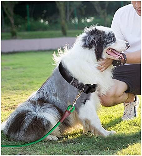 Sepxufore חבל רצועת כלב 6ft/8ft/10ft, רצועה קלאסית 1/2 ”רצועת חבל ניילון חזקה לכלבים בינוניים
