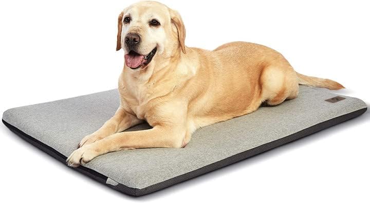 פנקו גדול במיוחד מיטת כלבים 42 אינץ