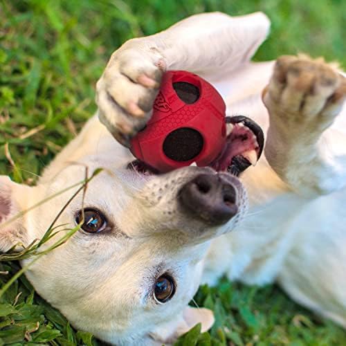 Nerf Dog Bash Bash גומי עטוף טניס צעצוע כלב, קל משקל, עמיד ועמיד במים, 3.5 אינץ ', לגזעים בינוניים/גדולים, יחידה