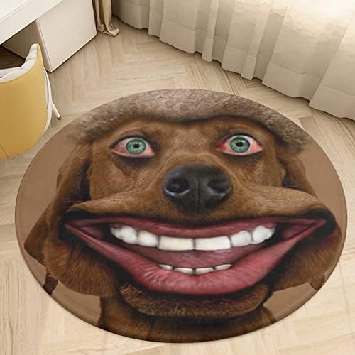 מצחיק כלבים עם שיער-57616 שטיחים באזור רך לשטיחים בחדר שינה שטיחים משתלת בנות שטיחים לסלון שטיח רחיץ לחדר שינה