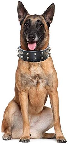 Pimaodog צווארון כלבים משובץ, 2 שורות מסמרות צווארון כלבי עור ממוסמר לכלבים בינוניים וגדולים