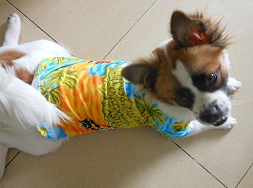 טנגפן הוואי חוף קוקוס עץ קוקוס חולצת כלבים מחנה קיץ מחנה פולו בגדי חיות מחמד