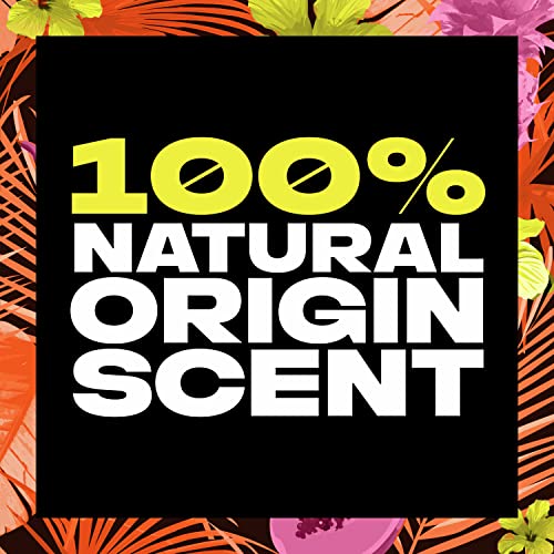 שטיפת גוף גרזן לגברים אווירה בהוואי, טיפוח עור עם ניחוח מקור טבעי ומרכיבים מבוססי צמחים 18 גרם, 4