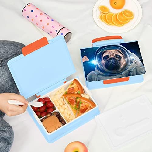 כלב חלל של אלזה בחלל קופסת ארוחת צהריים בנטו מצחיקה BPA ללא דליפה מכולות ארוחת צהריים עם מזלג וכף, 1