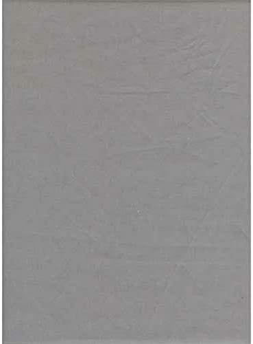 רקע פרומסטר 10x12 אפור מוצק של פוליקוטון