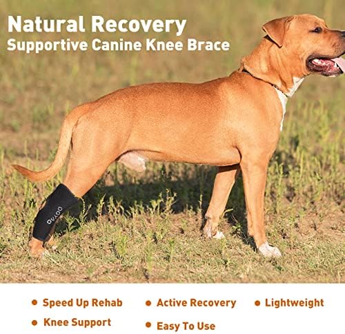 סד ברך כלב דיאמון, סד הוק ברגליים אחוריות עבור ACL ו- CCL קרוע, פציעות וכאבי מפרקים, תמיכה דחיסת דחיסת פצעים