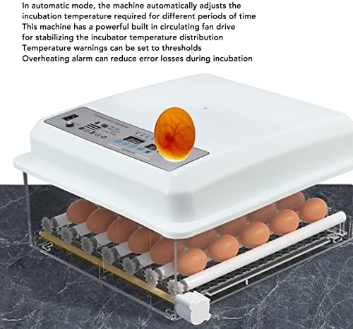אינפי אוטומטי ביצת חממה, אוטומטי הפיכת בקיעת מכונה לחות תצוגת מובנה הפנס למעבדה