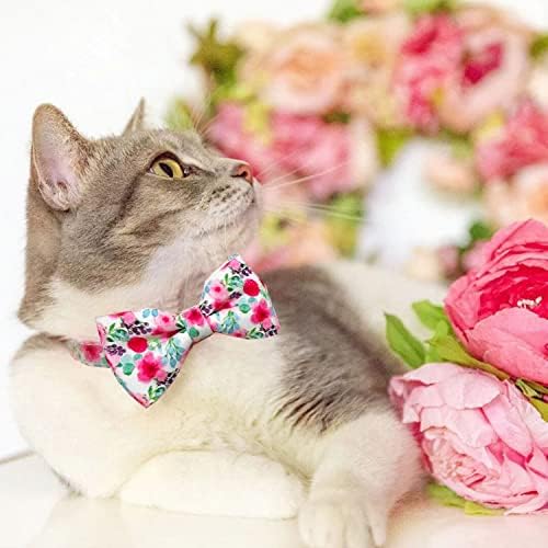 2 מארז אביב / קיץ חתול עניבת פרפר צווארון עם פעמונים, חג בטיחות הבדלני אבזם קיטי חתלתול קולרים, מגוון דפוס זמינים