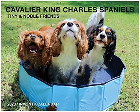 2023 Cavalier King Charles Spaniel לוח השנה