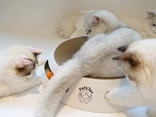 מיטת טרקלין חתול גרדן לחתלתול מקורה-לגירוד, משחק ומרגיע-3 ב-1 עם צעצועי חתול כדורי מיטת קרטון