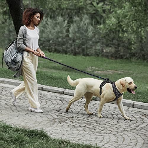 רצועת כלבים בגובה 5 מטרים - רצועה בצד כפול - ידית מרופדת רכה - מתאימה להליכה, אימונים או חקר טיולים, קמפינג