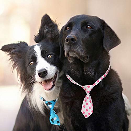 עניבות קשת כלבים בתפזורת, סגרטי 40 יחידים חבילה כלבים קשתות צווארון לגורים, קשת קשת לחופשה מתכווננת לחתול
