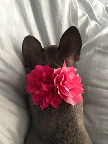 חיות מחמד להראות כלב קסמי פרח צווארון קישוט אביזרי עבור חתול גור קולרים כלבים עניבת פרפר טיפוח חבילה של 8