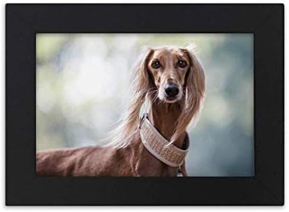 Diythinker ארוך צוואר כלב חיית מחמד חיית מחמד תמונת שולחן עבודה שולחן עבודה קישוטי מסגרת תמונה מתנה