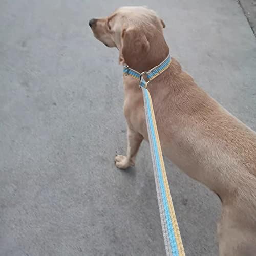 בוסוואני 10ft / 15ft / 20ft אנטי-סוק להוביל רצועת כלב רצועה, רצועת אימונים ארוכה וארוכה רוחב 1